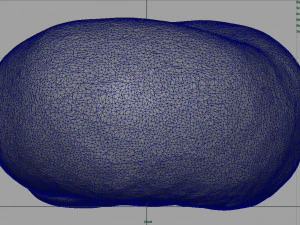 brzoskwinia saturnowa Model 3D