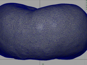 brzoskwinia saturnowa Model 3D