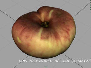 brzoskwinia saturnowa Model 3D