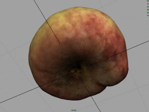 brzoskwinia saturnowa Model 3D