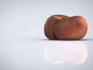 brzoskwinia saturnowa Model 3D