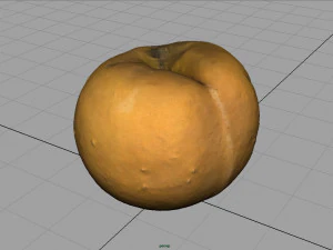 brzoskwinia Model 3D