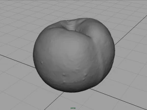 brzoskwinia Model 3D