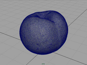 brzoskwinia Model 3D