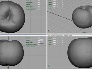 brzoskwinia Model 3D