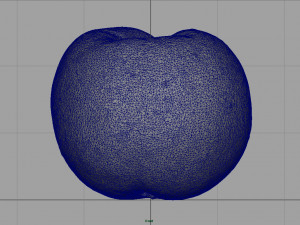 peach 3D मॉडल