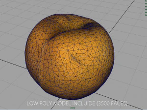 brzoskwinia Model 3D