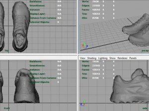 hiking shoes 3D Model