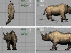 white rhinoceros 3D Модель