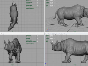 white rhinoceros 3D Модель