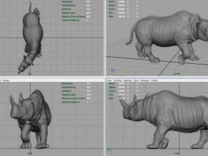 white rhinoceros 3D Model