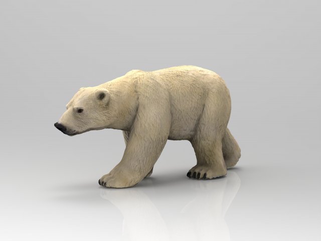 polar bear 3D मॉडल .c4d .max .obj .3ds .fbx .stl .blend 