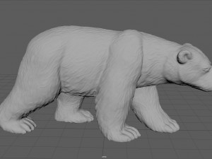 polar bear 3D मॉडल
