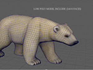polar bear 3D मॉडल
