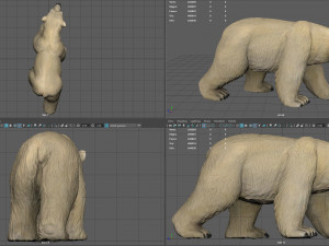 polar bear 3D मॉडल