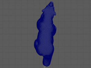 polar bear 3D मॉडल
