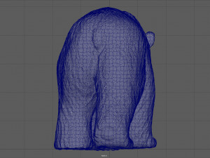 polar bear 3D मॉडल