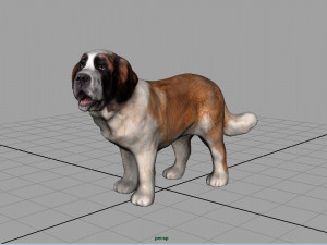 saint bernard Model 3D