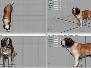 saint bernard Model 3D