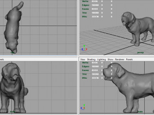 saint bernard Model 3D