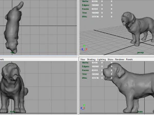 saint bernard 3D Model