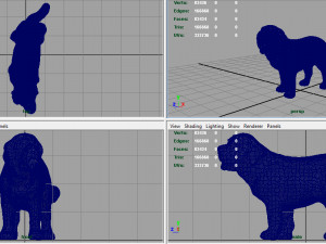 saint bernard Model 3D