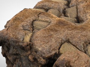 chocolate cake 3D Модель