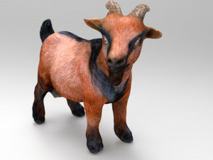goat Modelo 3D