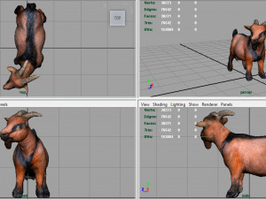 goat 3D-Modell