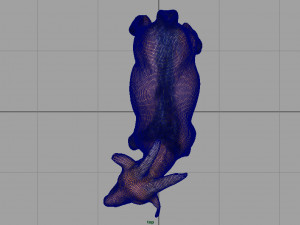 goat 3D-Modell
