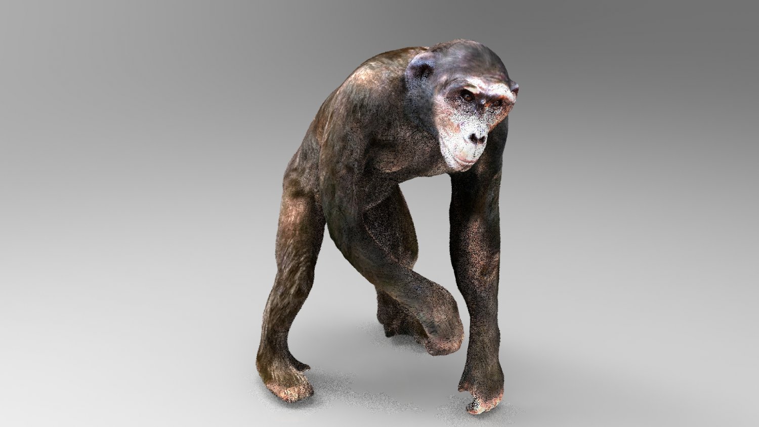 Chimpanzee 3d Model In Other 3dexport