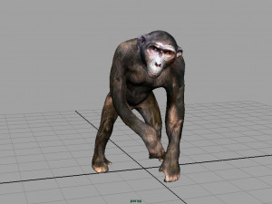 chimpanzee 3D 모델