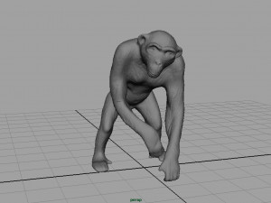chimpanzee 3D 모델