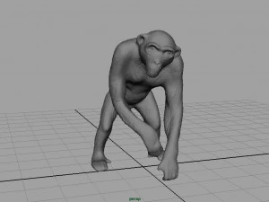 chimpanzee 3D Model