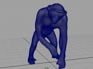 chimpanzee 3D 모델