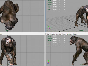 chimpanzee 3D 모델