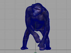 chimpanzee 3D 모델