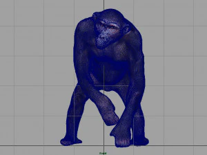 chimpanzee 3D Model