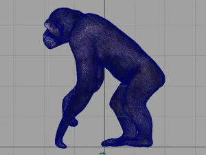 chimpanzee 3D Model