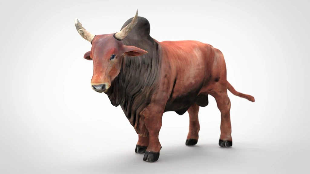 圣牛 3D 模型 .c4d .max .obj .3ds .fbx .stl .blend 