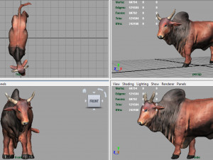 sacred cow Modello 3D