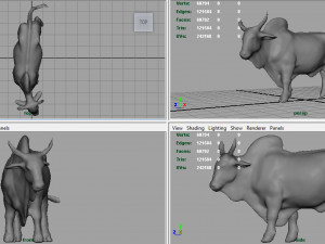 sacred cow Modello 3D