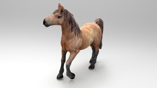 horse 3D-Modell .c4d .max .obj .3ds .fbx .stl .blend 
