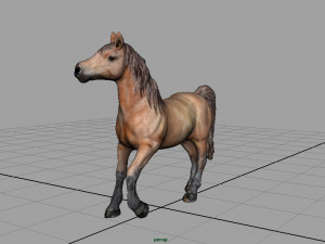 horse 3D-Modell