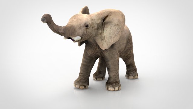 elephant 3D Model .c4d .max .obj .3ds .fbx .stl .blend 