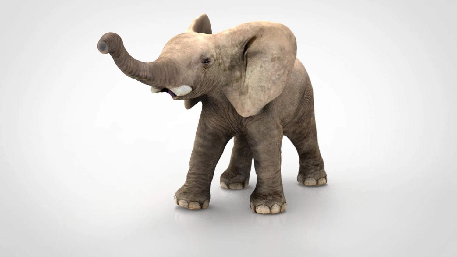 elefante Modello 3D .c4d .max .obj .3ds .fbx .stl .blend