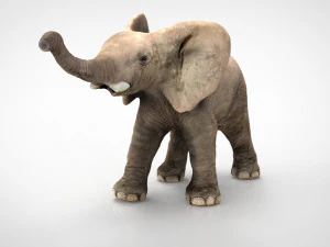 &eacute;l&eacute;phant Modèle 3D