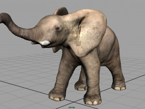 elephant 3D Model