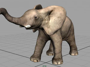 elefante Modello 3D