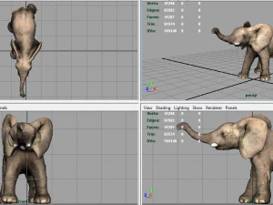 elefante Modello 3D